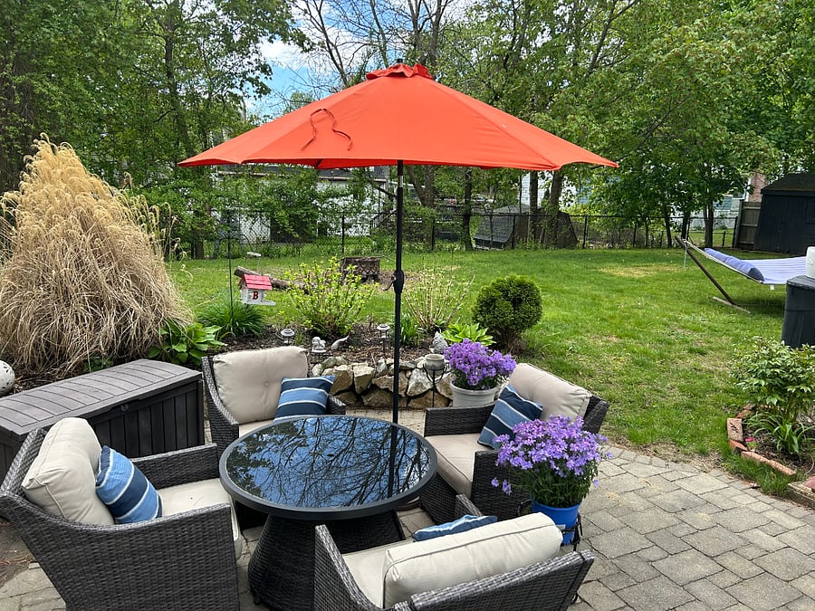 Backyard area