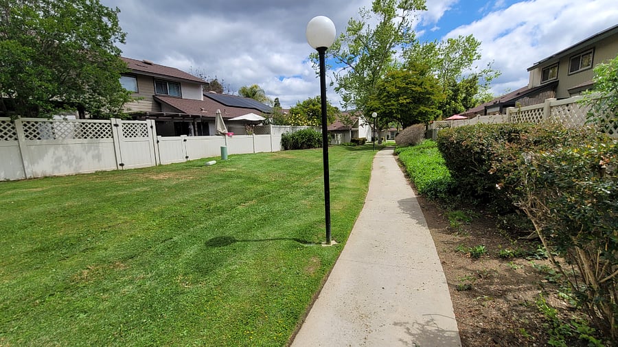 Green belt beyond the rear gate.