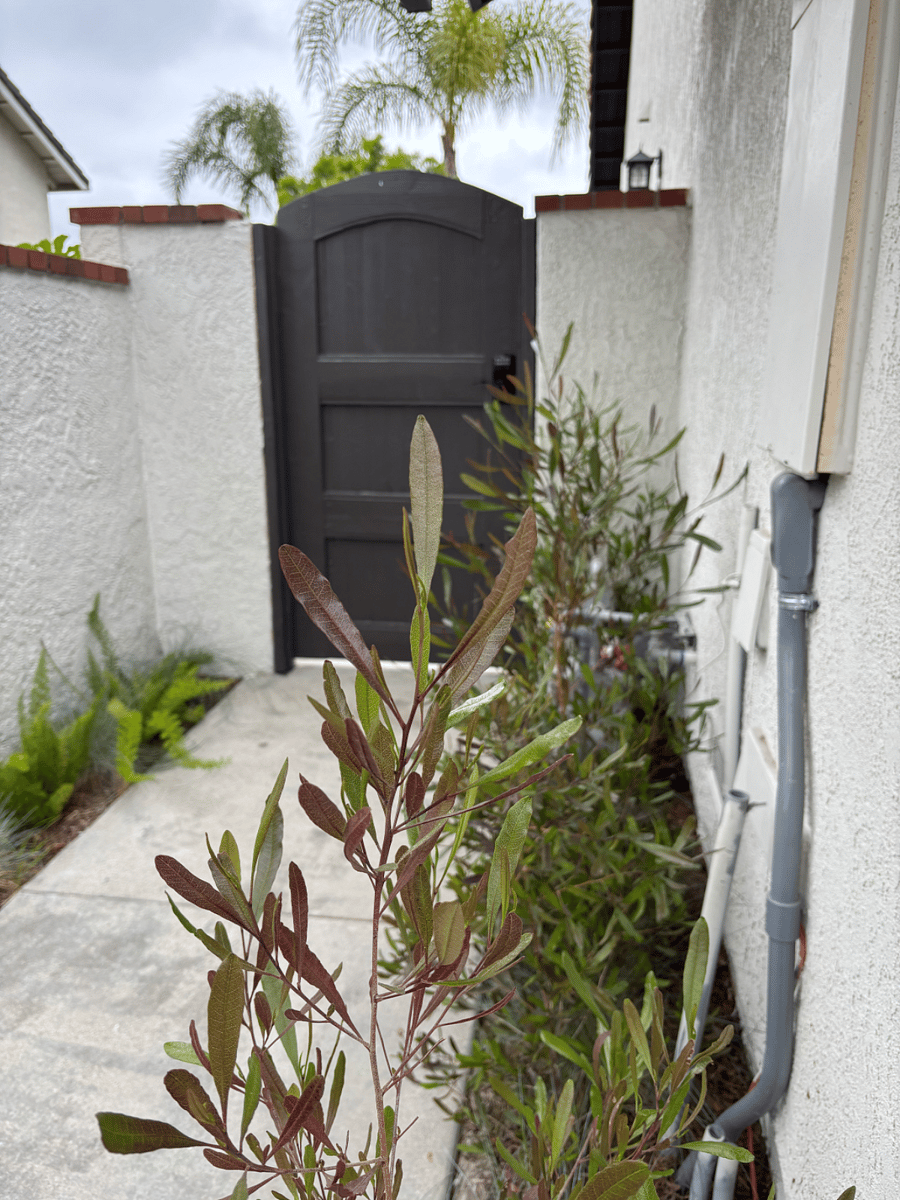 Private separate entrance.