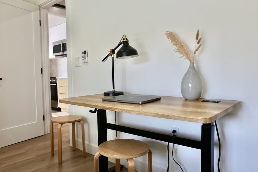 Sit-Stand Desk & Work Area
