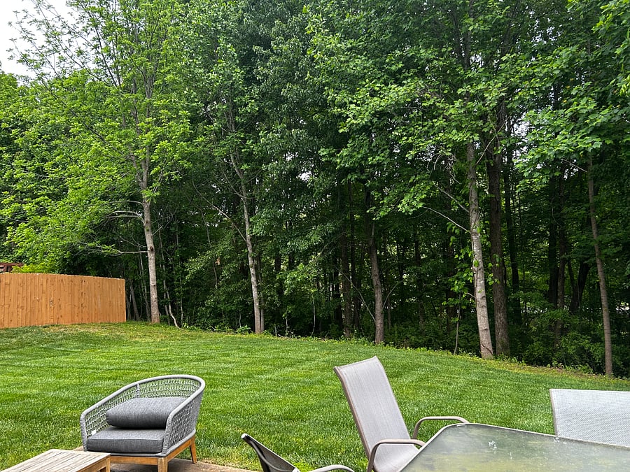 Backyard and patio
