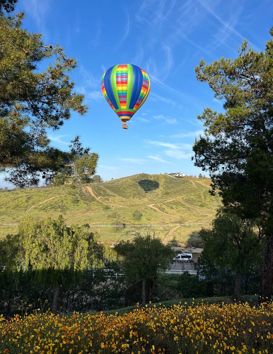 Veiws of hot air balloons almost every weekend weather permitting.
