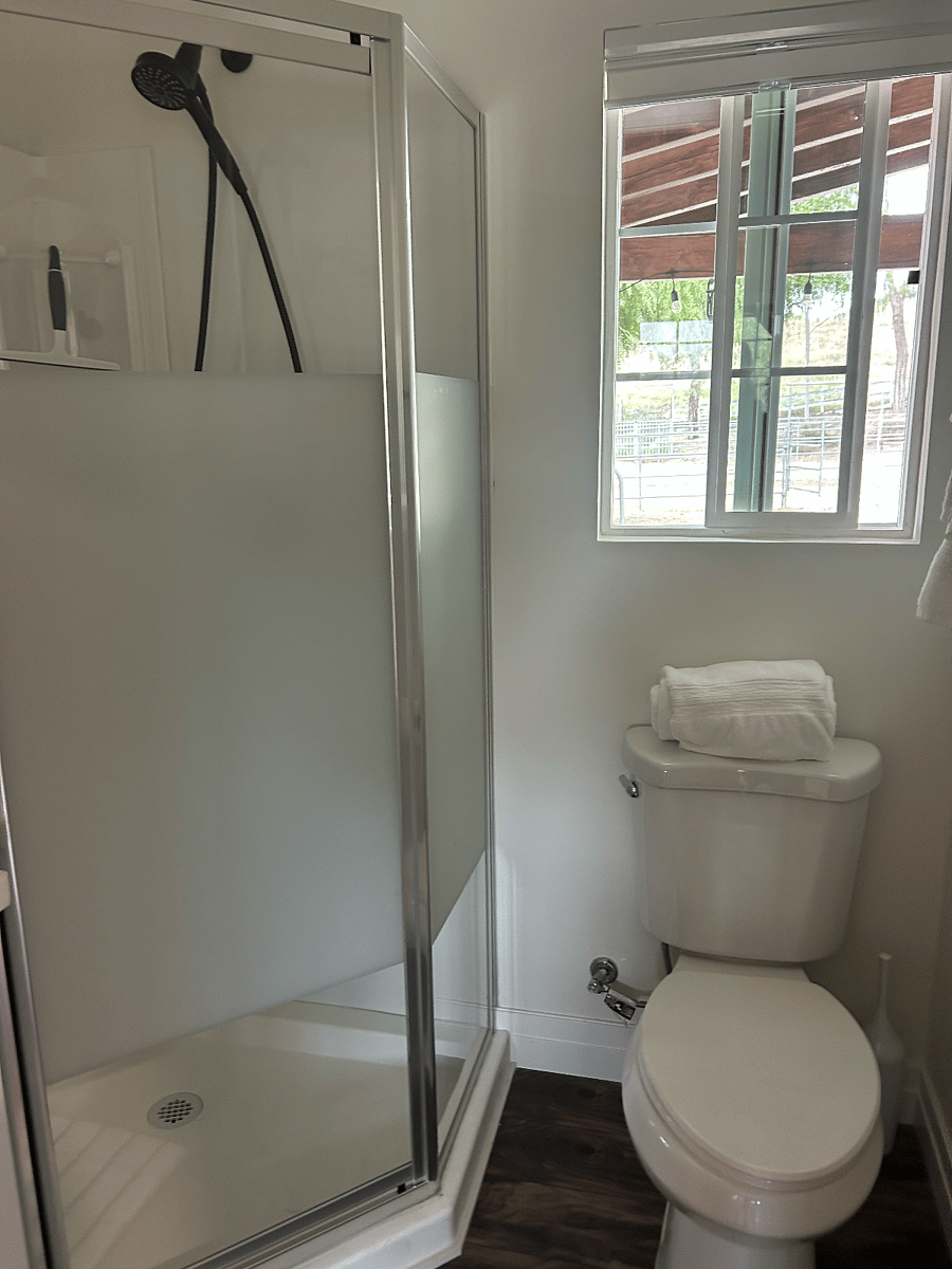 Shower and toilet.