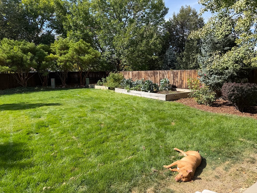 Furnished Finder property 853943_1 photo 23