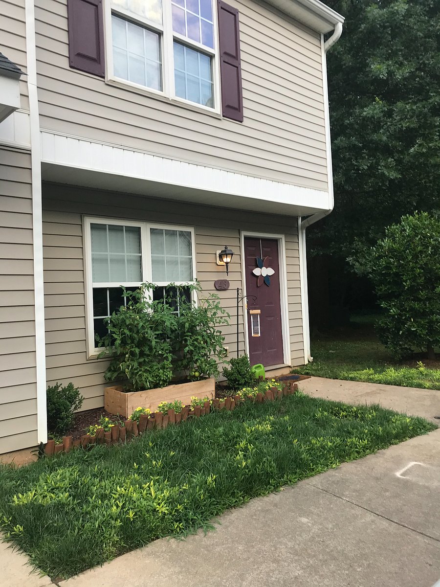 Furnished Finder property 853944_1 photo 15