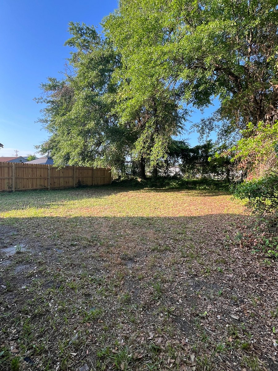 GREAT backyard for pups to play! 