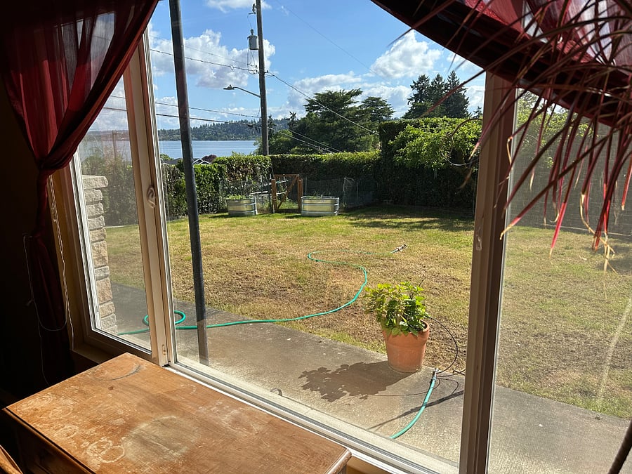 View from Living Room