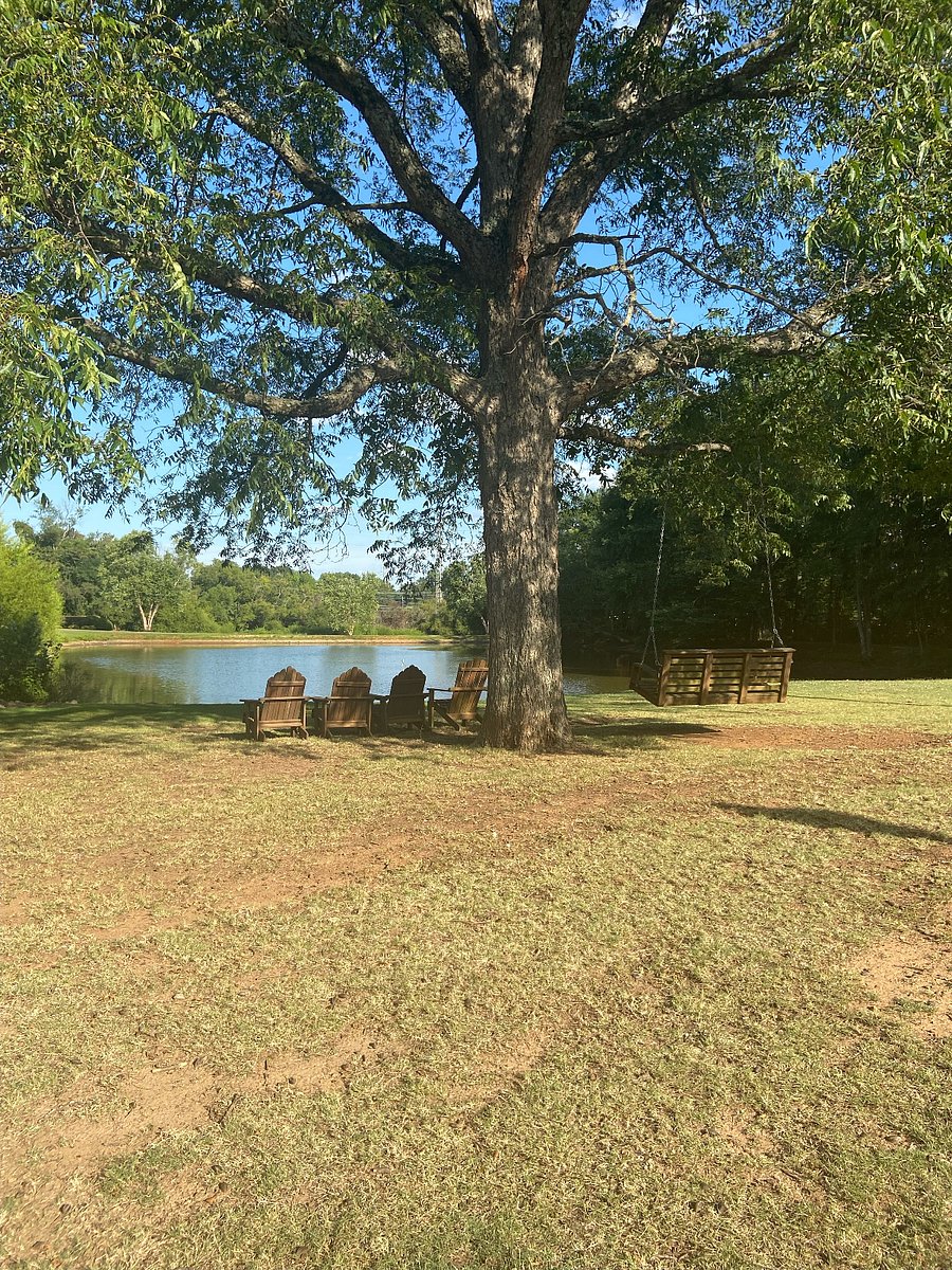 Furnished Finder property 854123_1 photo 7