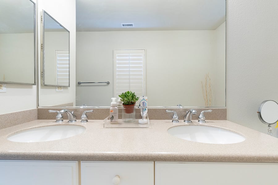 Master Dual sinks