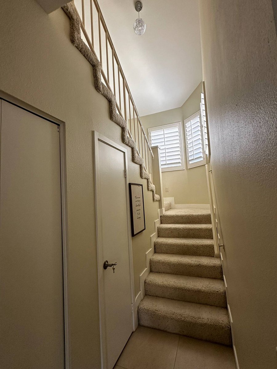 Furnished Finder property 854330_1 photo 86