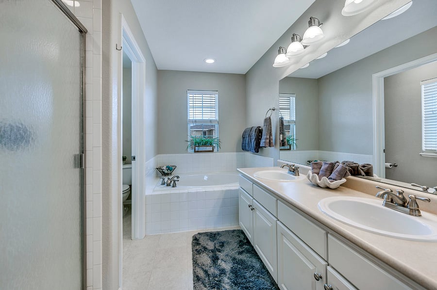 Master bath - double vanity, walk-in shower, tub, and separate water closet for privacy.