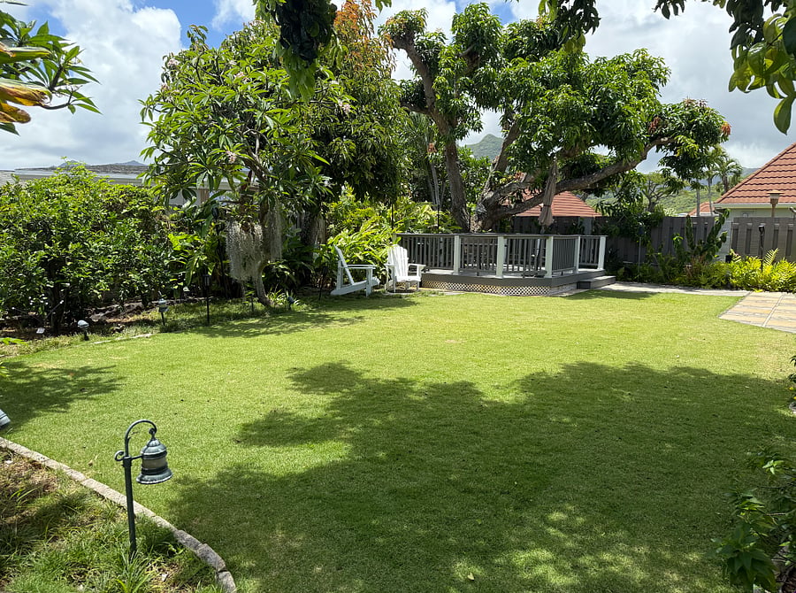Backyard. Lush with tropical plants including fruit trees such as mango, papaya, guava, mountain apple and avocado.