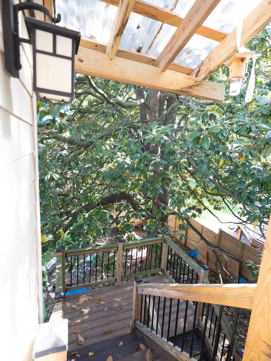 Furnished Finder property 854364_1 photo 7