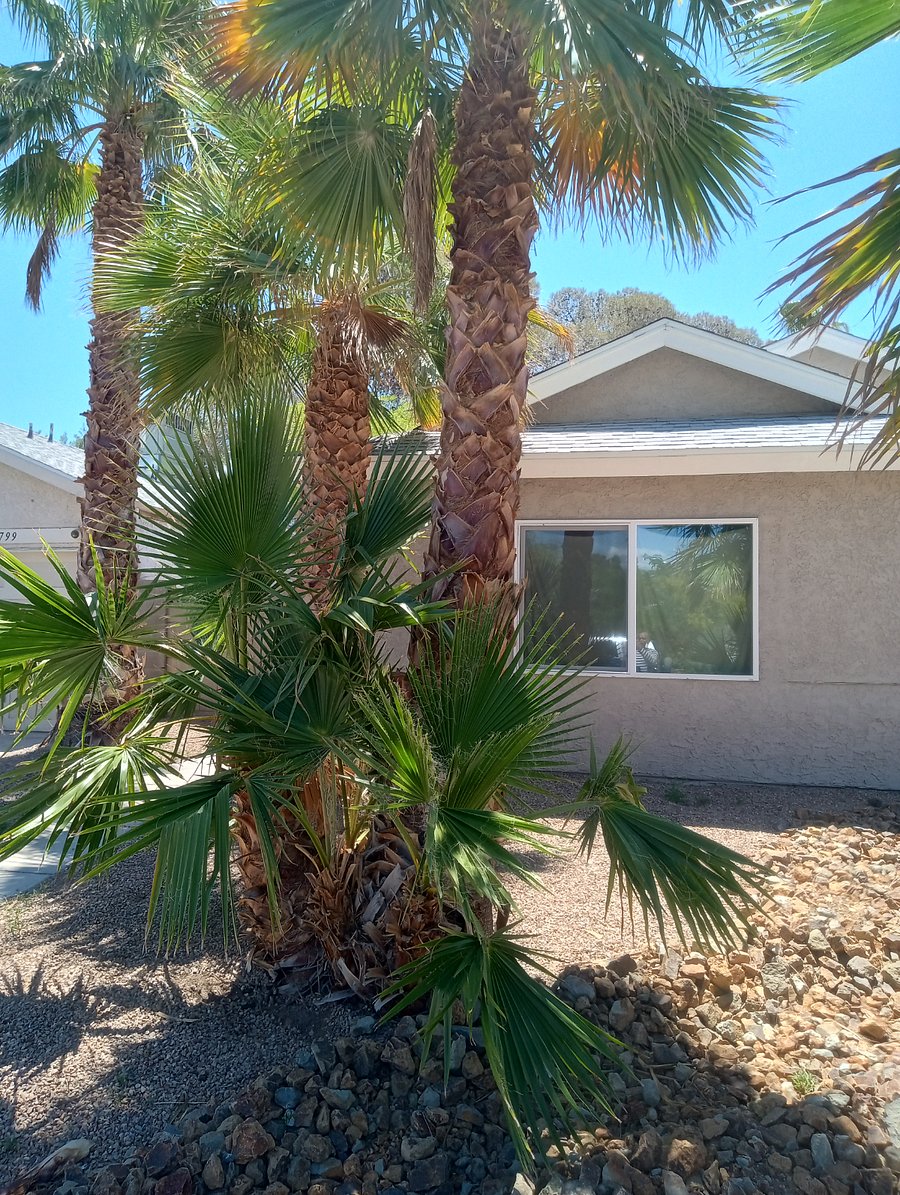 Furnished Finder property 854371_1 photo 4