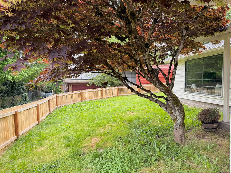 Furnished Finder property 854538_1 photo 21