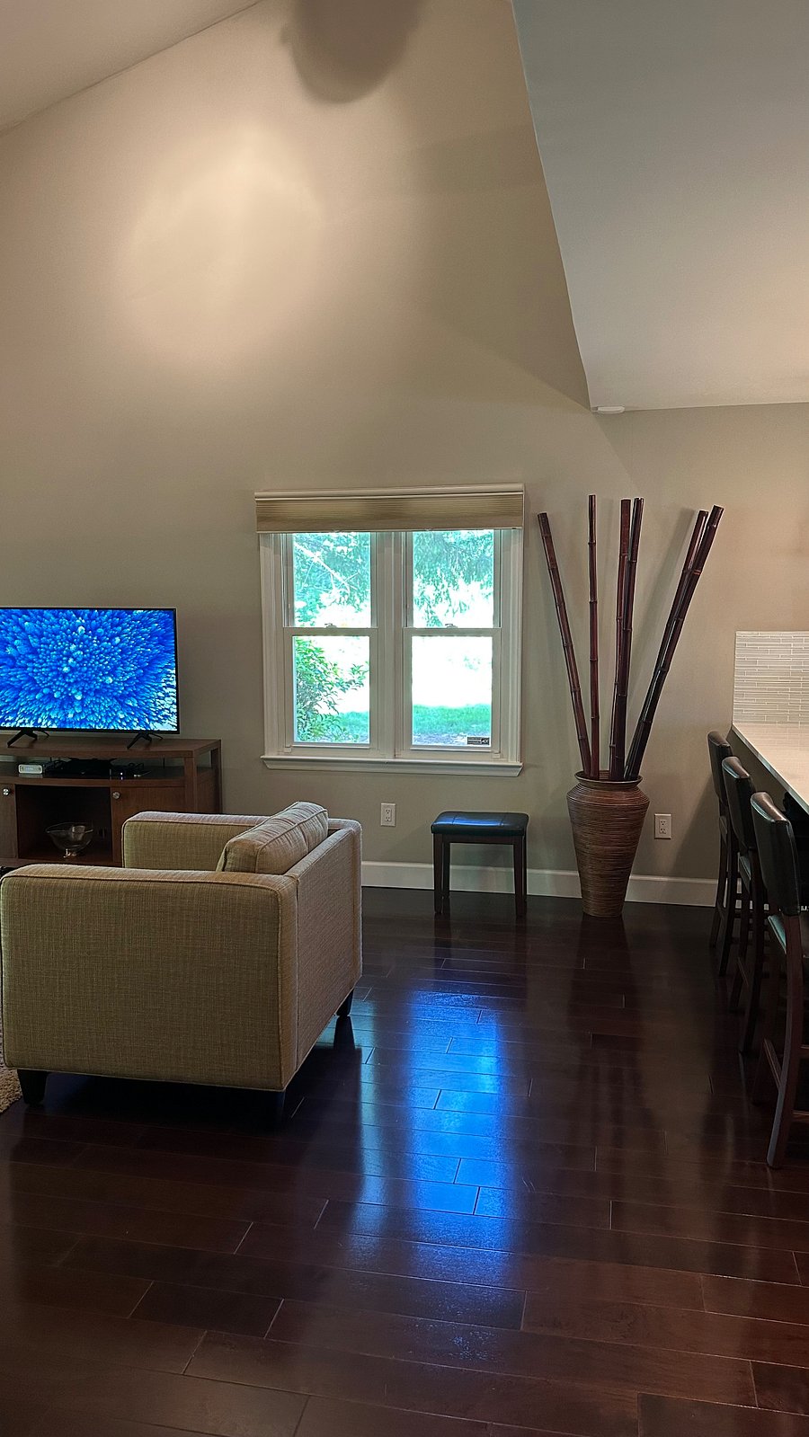 Living Room Area