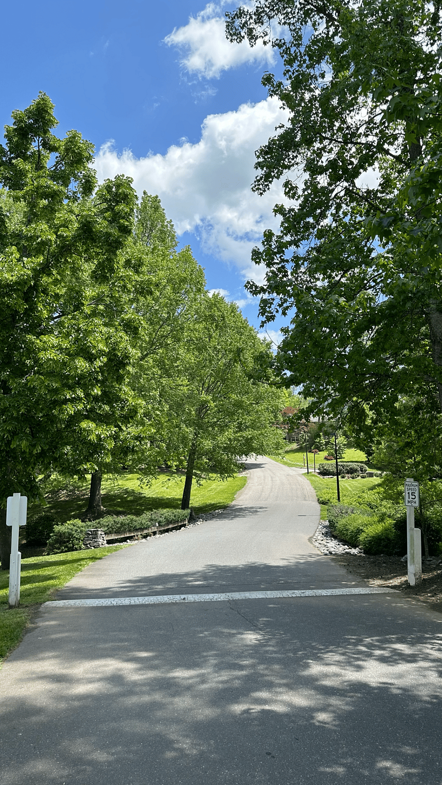 Community Street