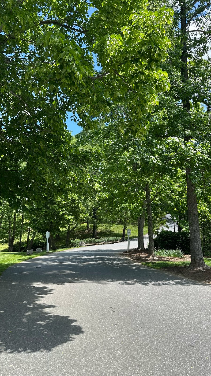 Community Street - Great Walkability and Safe