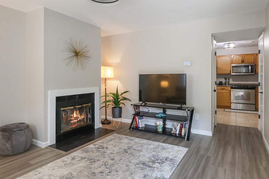 Furnished Finder property 854753_1 photo 4