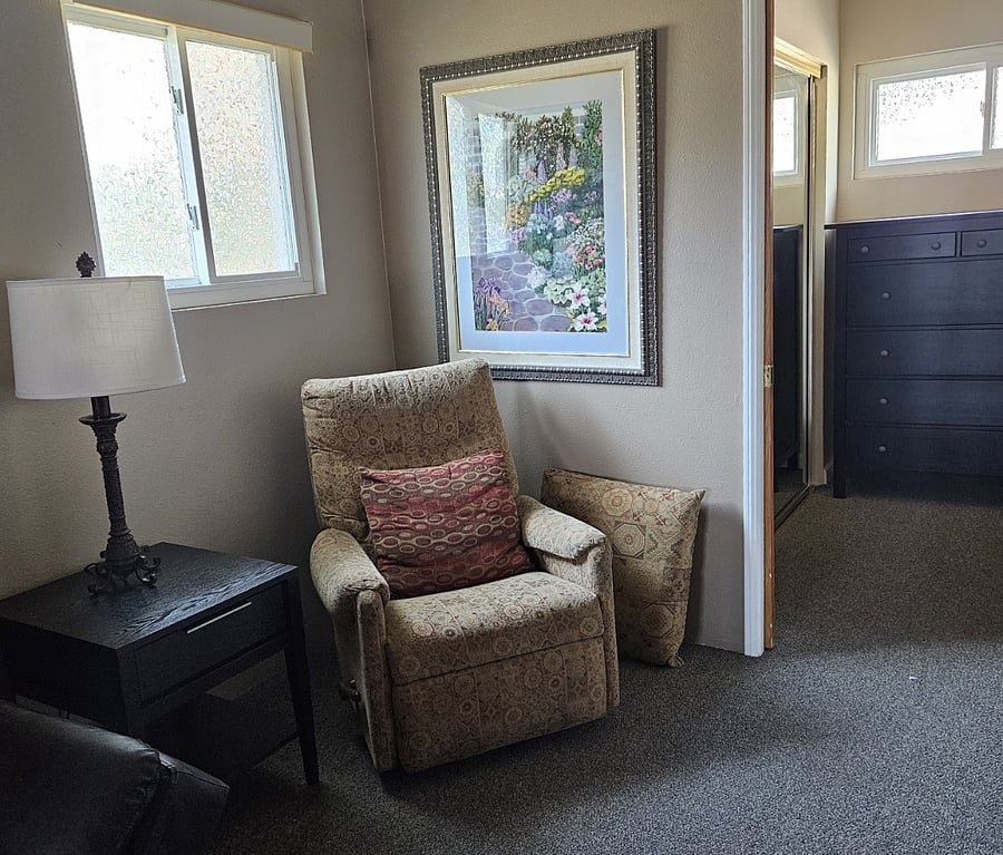 Lazy Boy reclining chair next to futon in master suite