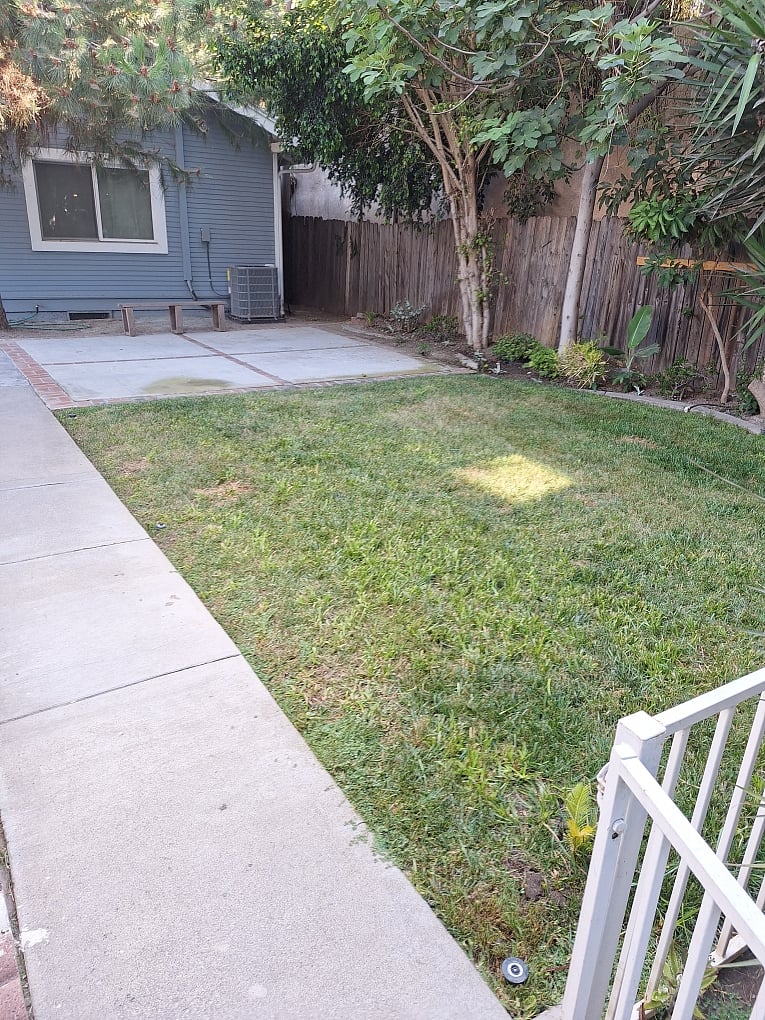 Backyard grass area for pets (next to garage)