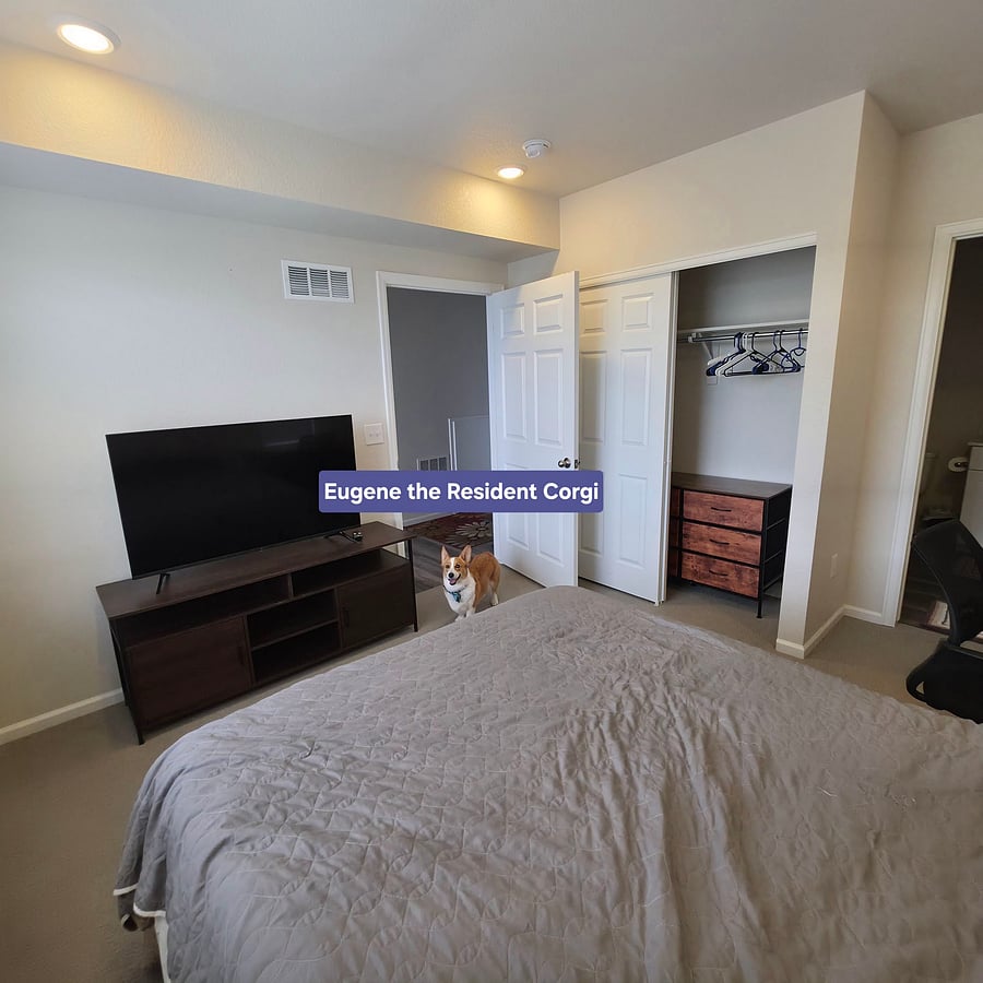 Furnished Finder property 854813_1 photo 2