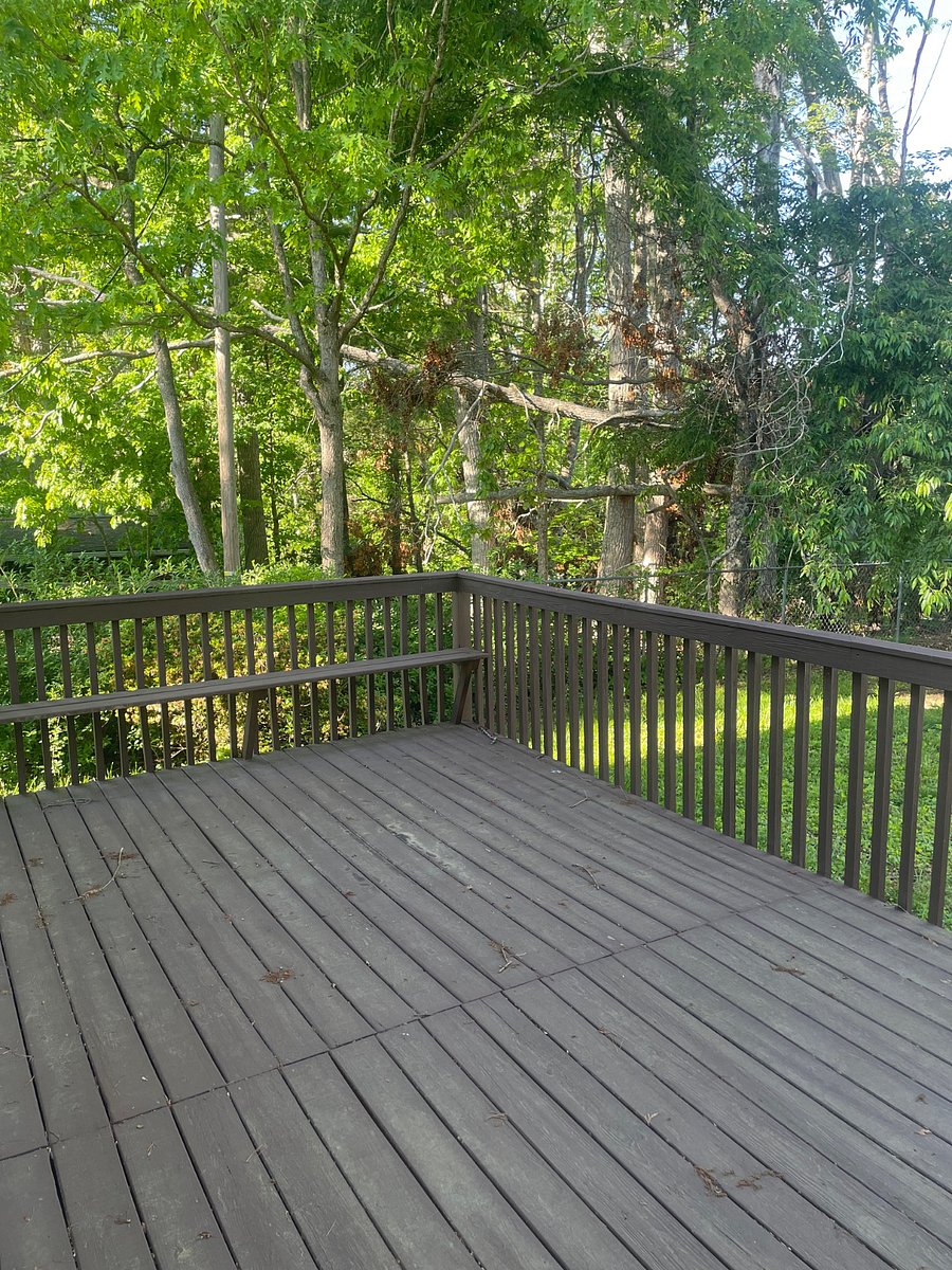 Furnished Finder property 854950_1 photo 11