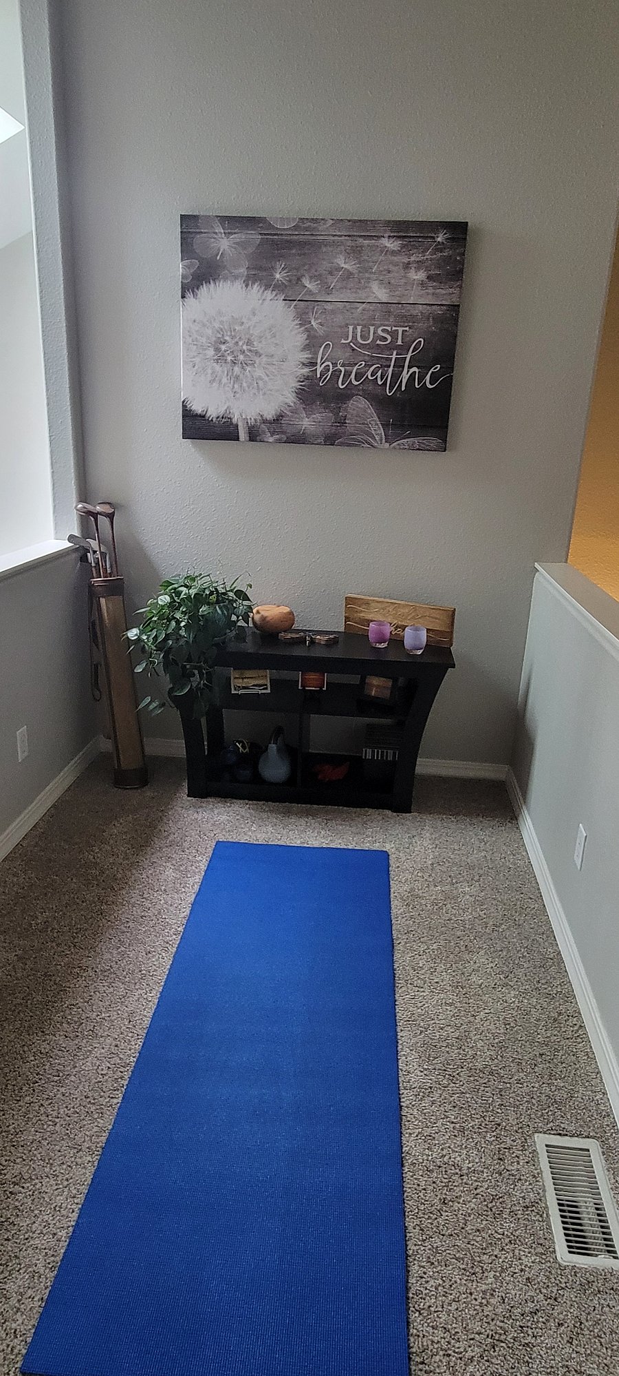 Yoga or exercise space