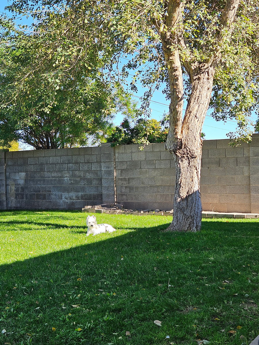 Furnished Finder property 855399_1 photo 12