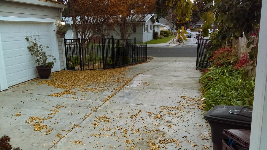gated 3 car driveway