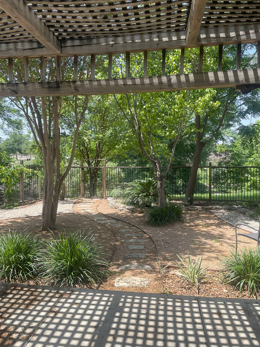 Backyard gate leading to San Antonio River