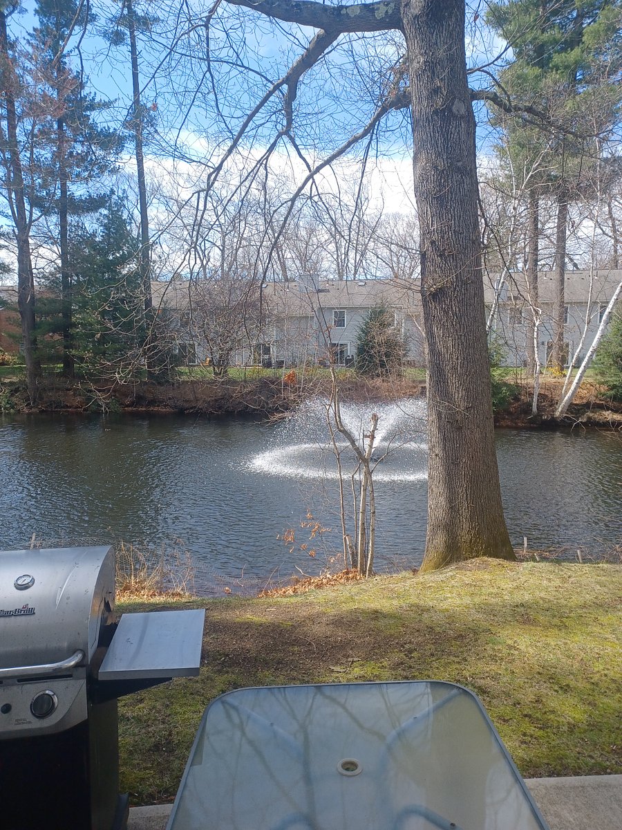 Furnished Finder property 855578_1 photo 7