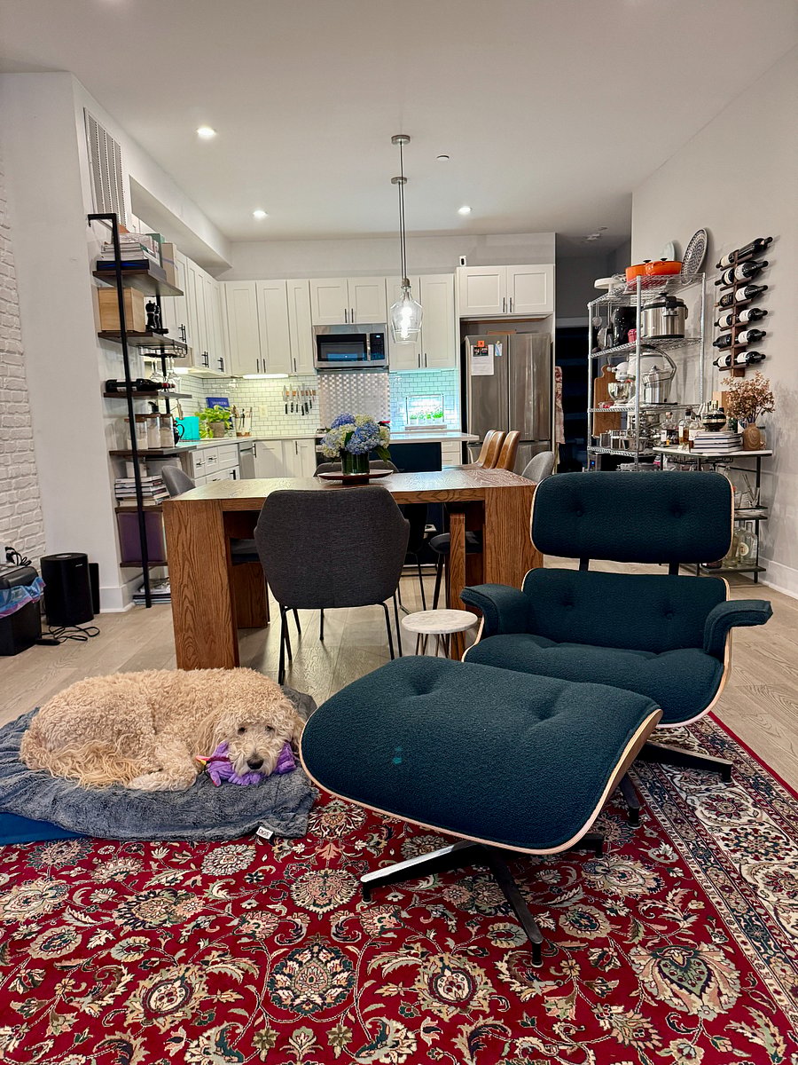Looking from living room into dining area and kitchen. Stoney is chilling on his bed.