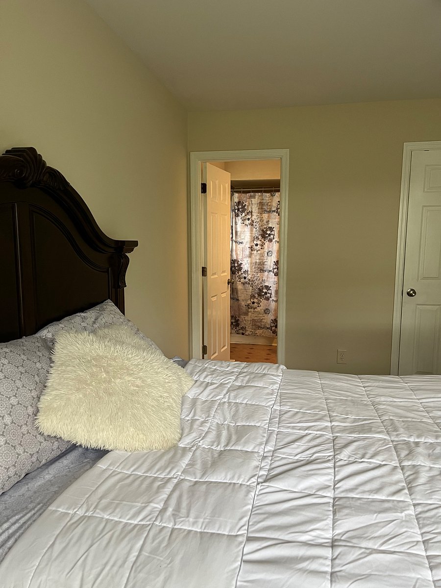 Furnished Finder property 855812_1 photo 3