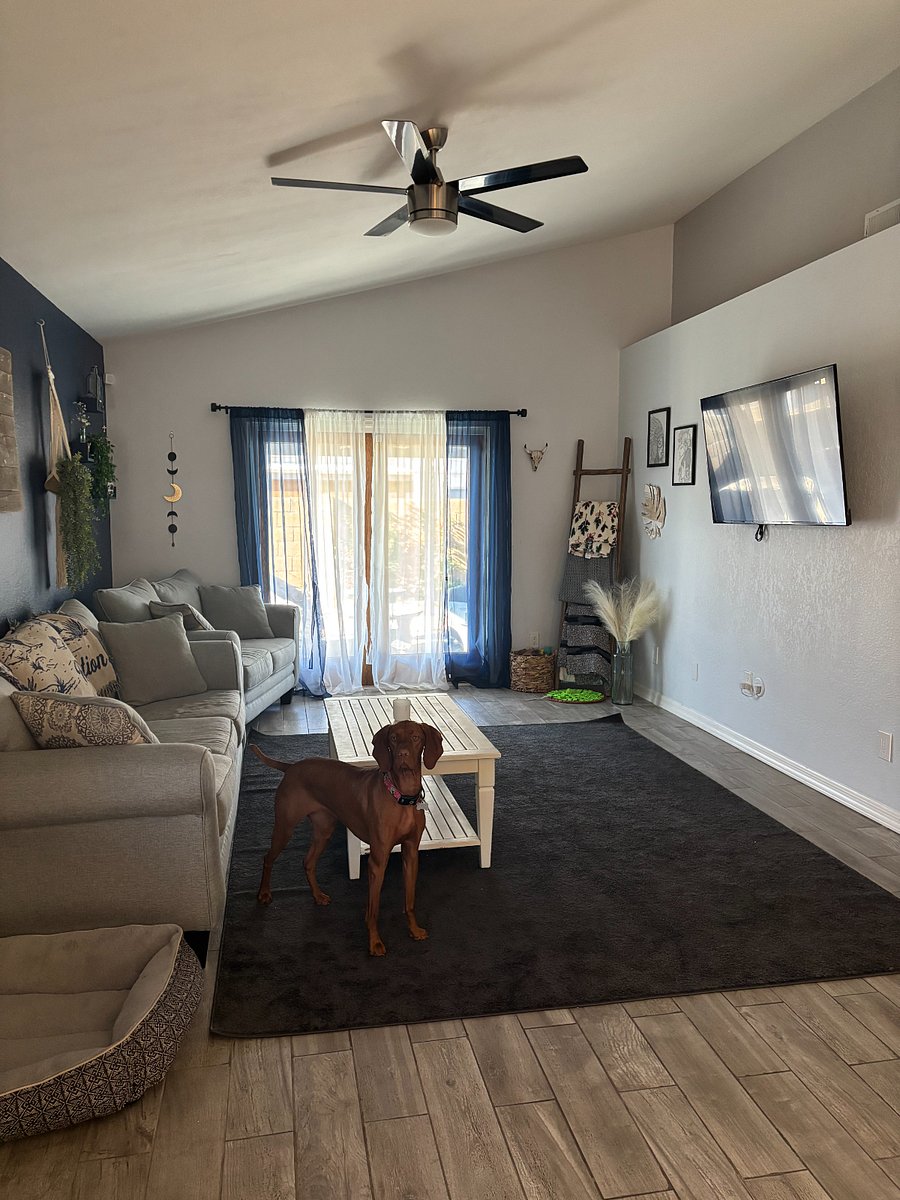 Furnished Finder property 855814_1 photo 9