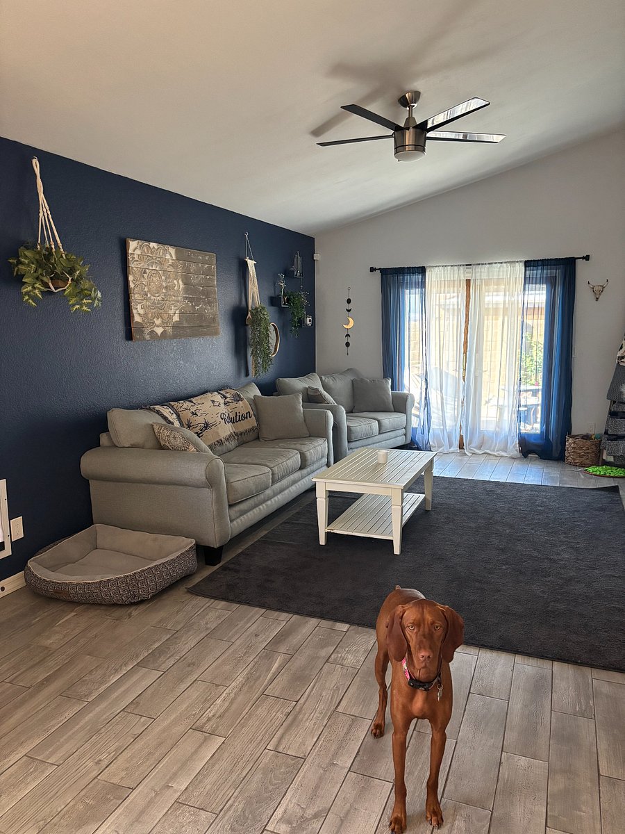 Furnished Finder property 855814_1 photo 10