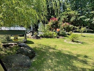front yard