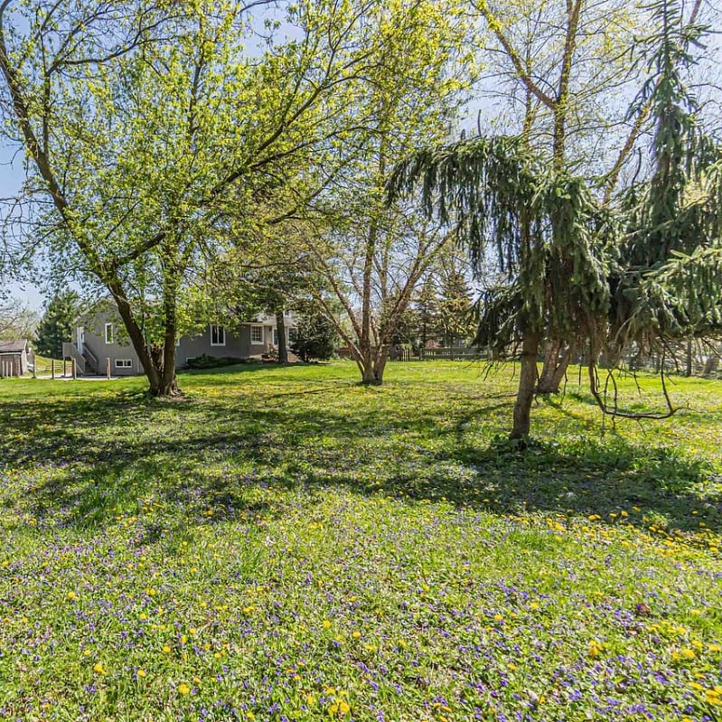 View of front yard from side of house where your unit's entry door is located. There is now a 6' chain linked fence around the staircase entering into your unit.
