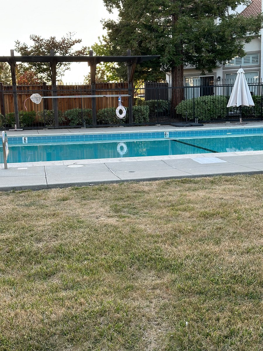 Furnished Finder property 856019_1 photo 9