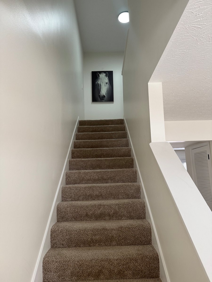 Furnished Finder property 856184_1 photo 16