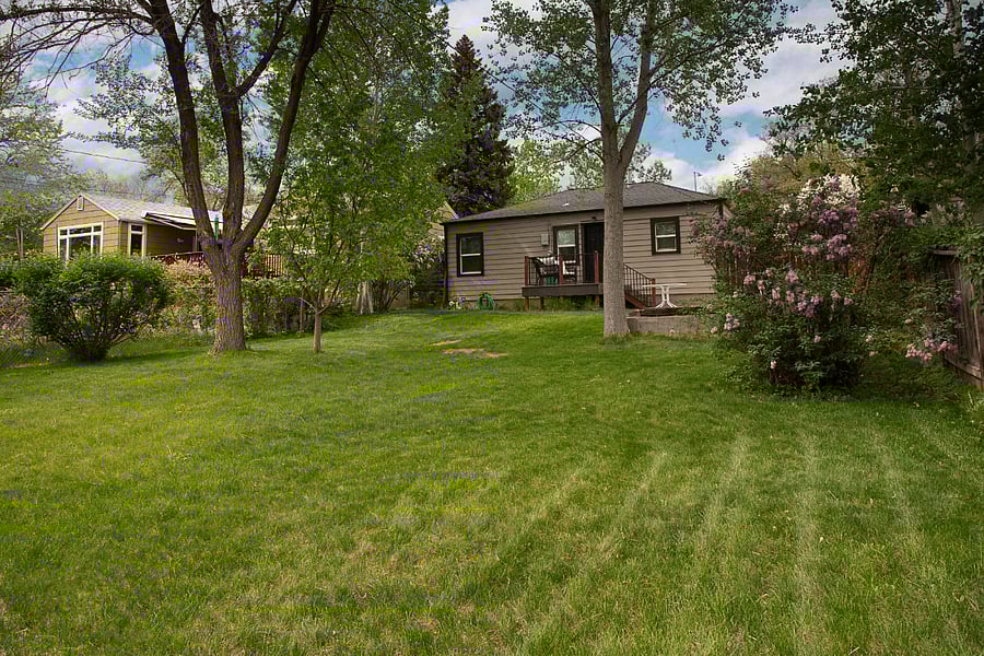 Back yard