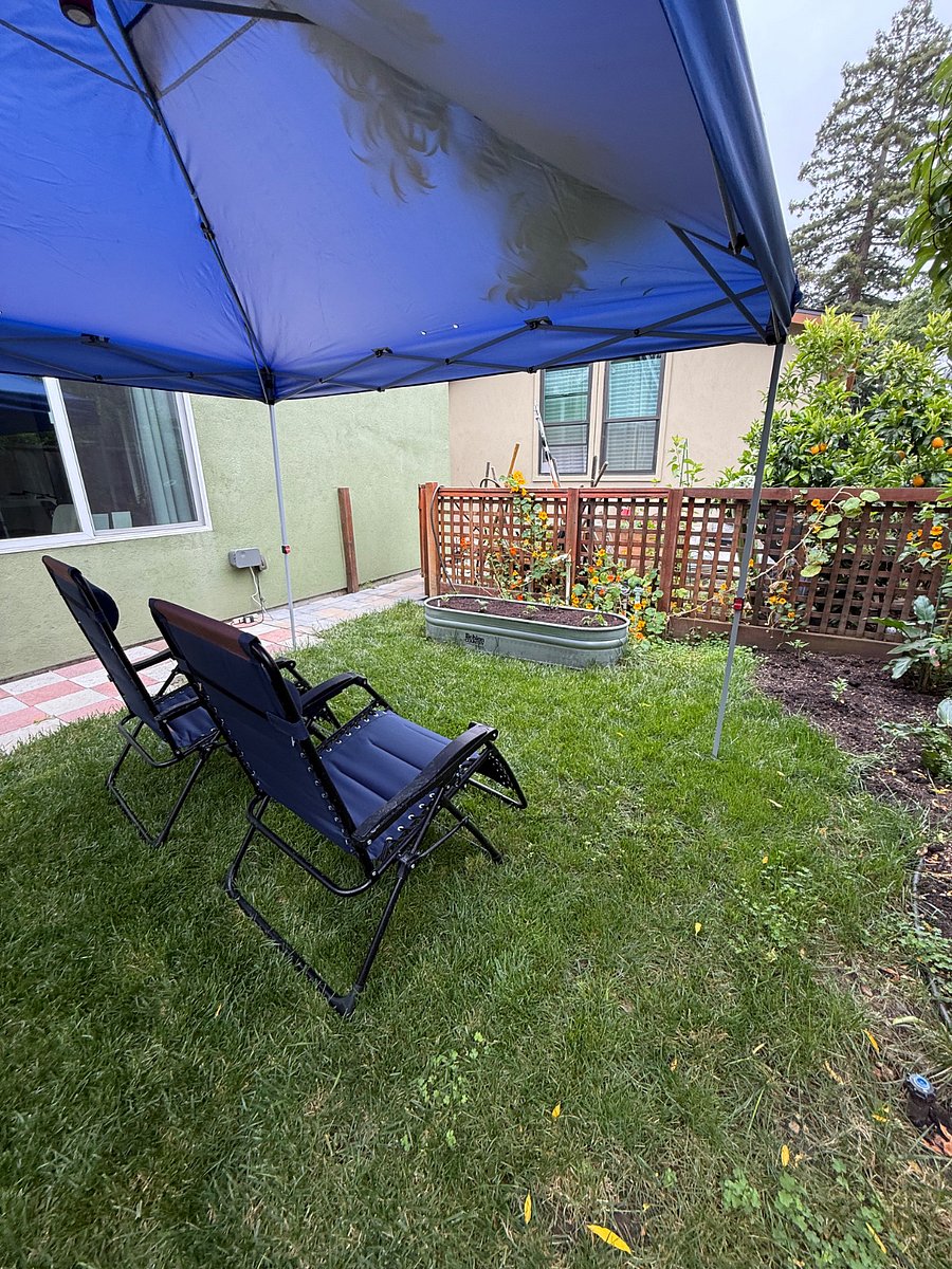 Furnished Finder property 856188_1 photo 32