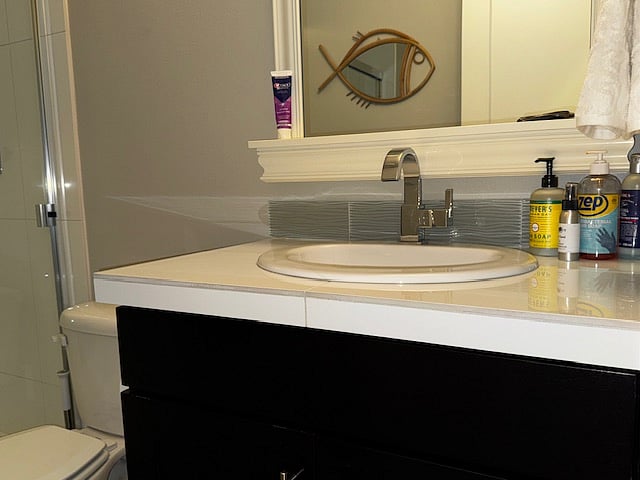 Downstairs Bathroom w/shower