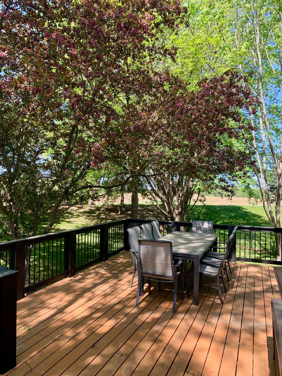 Furnished Finder property 856293_1 photo 11
