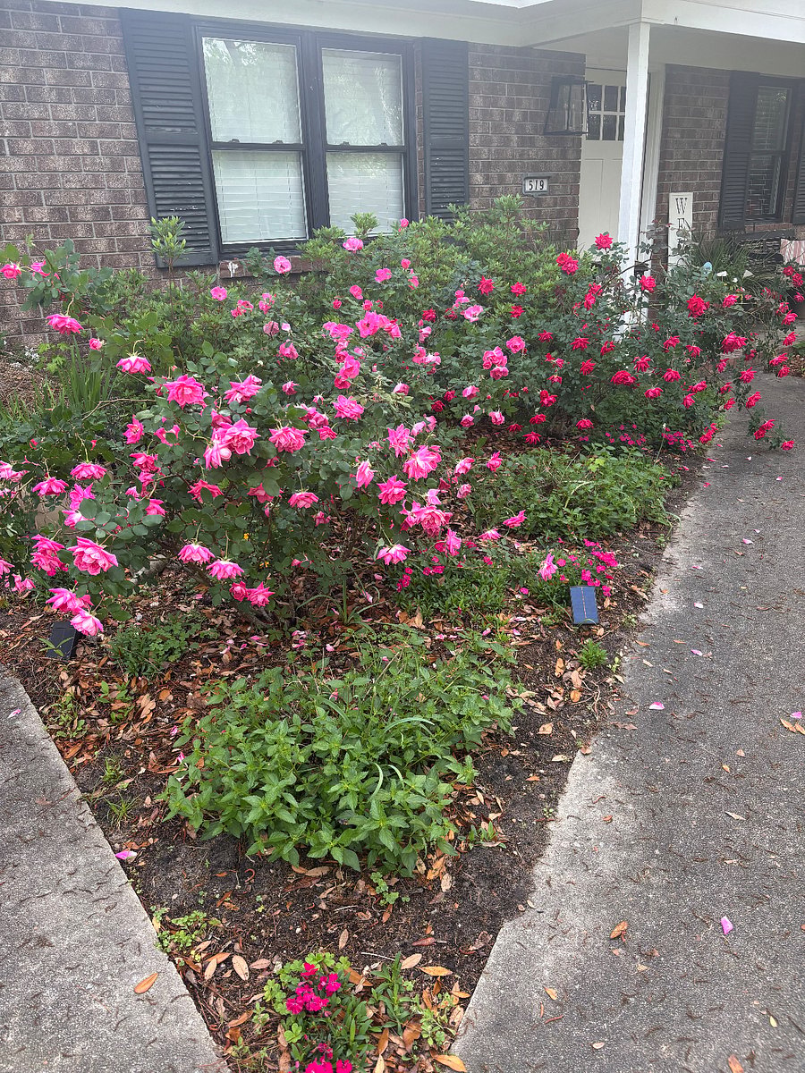 Furnished Finder property 856353_1 photo 20