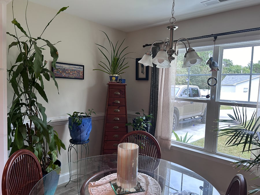 Furnished Finder property 856447_1 photo 7