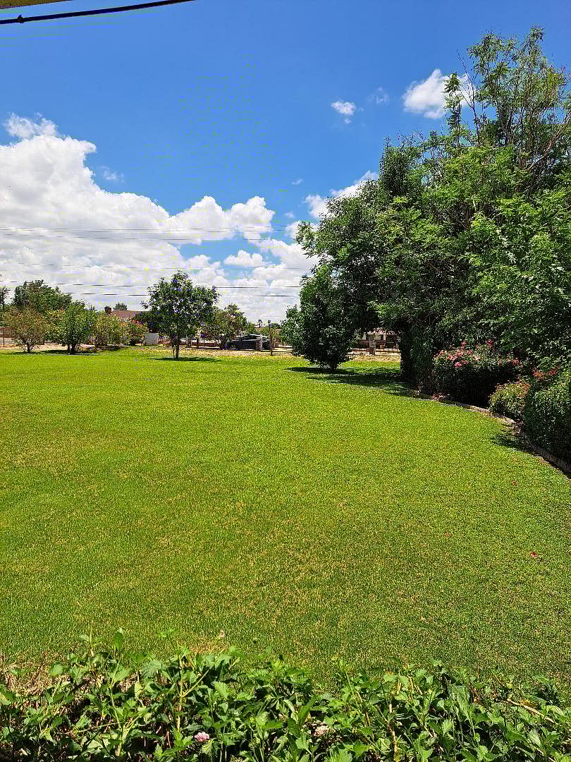Furnished Finder property 856452_1 photo 29