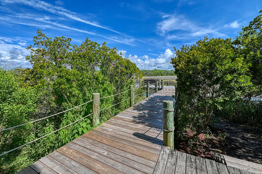 Furnished Finder property 856620_1 photo 15