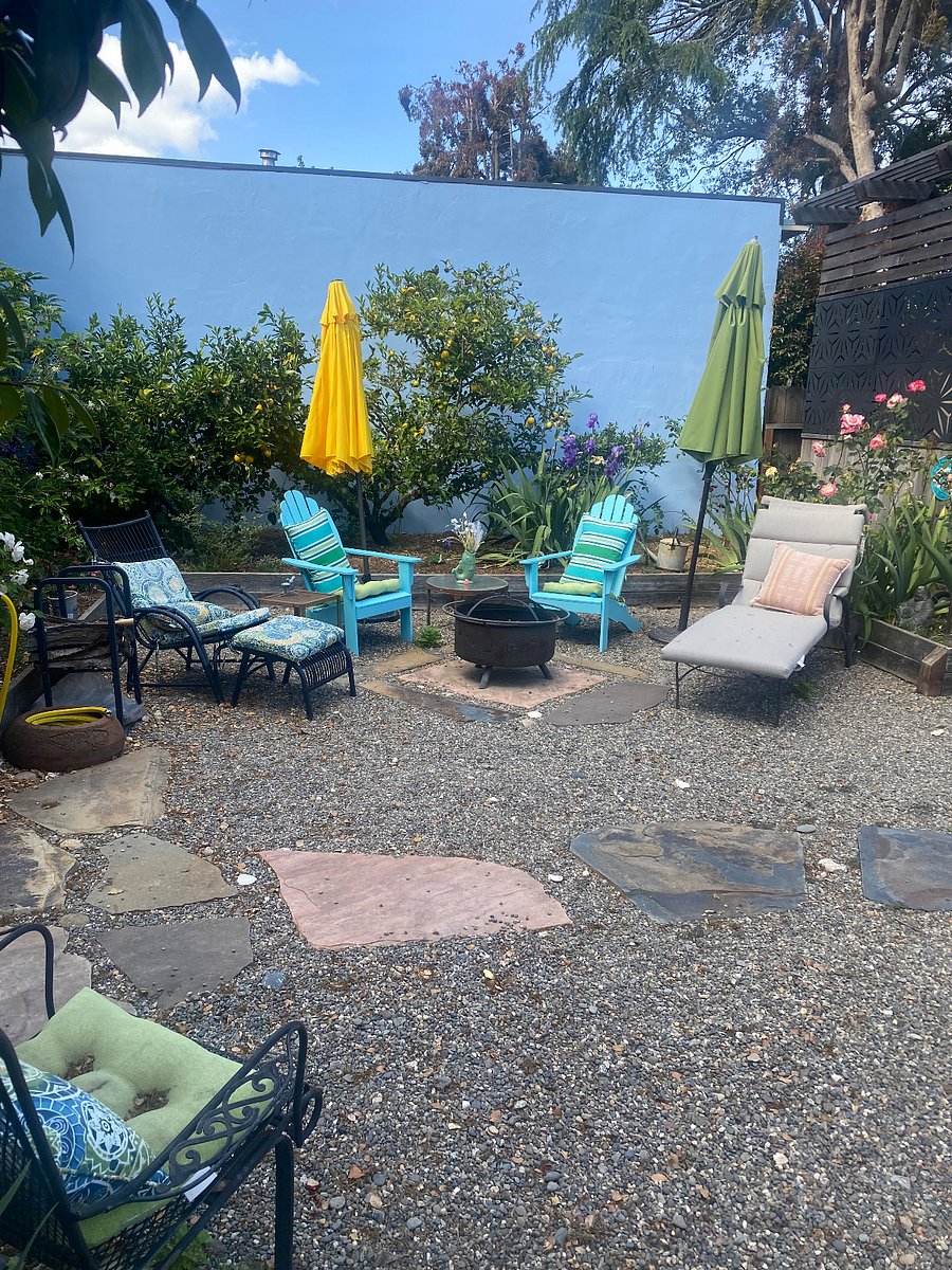 Shared yard area.