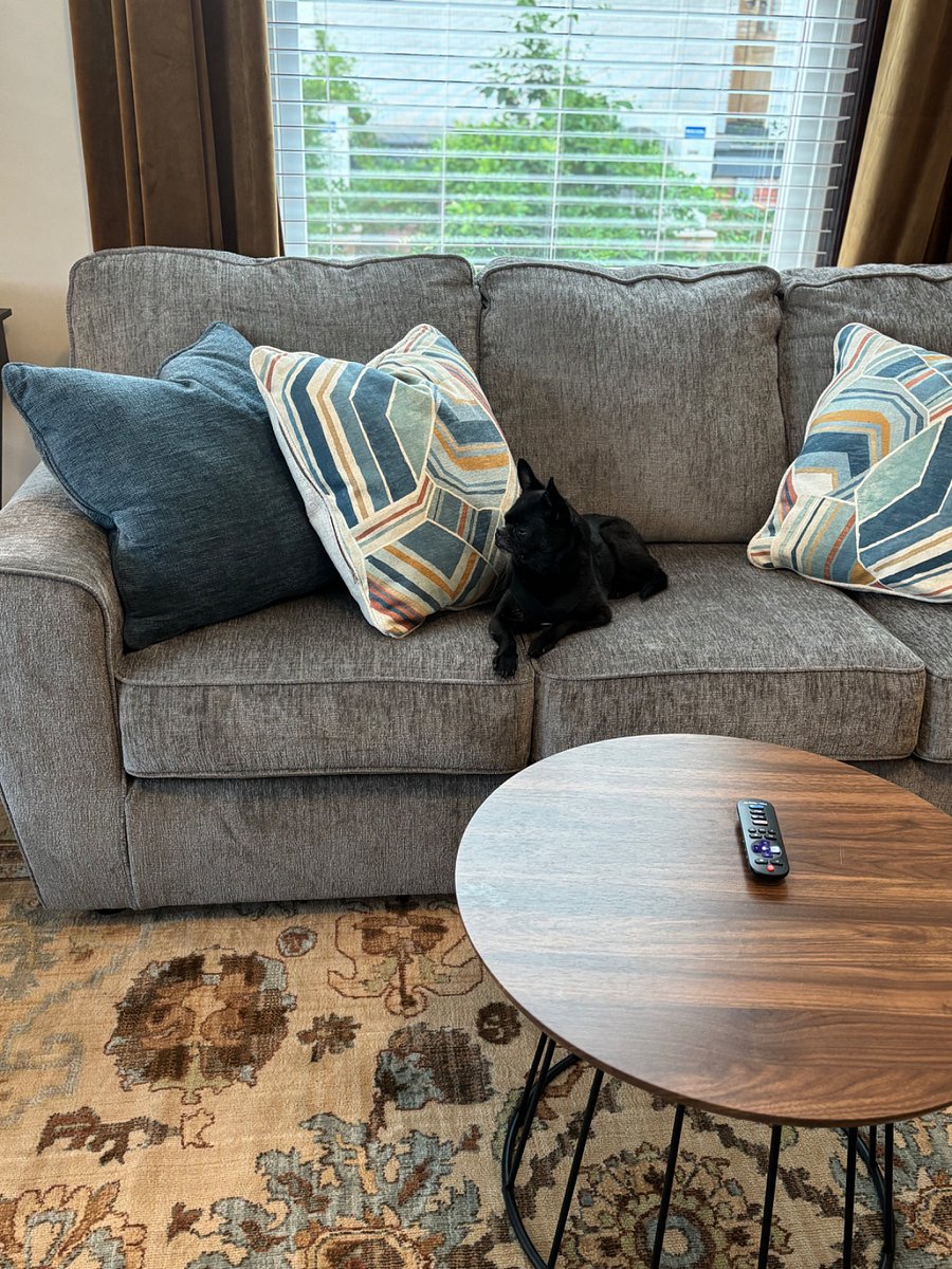 Comfy couch and dog friendly!